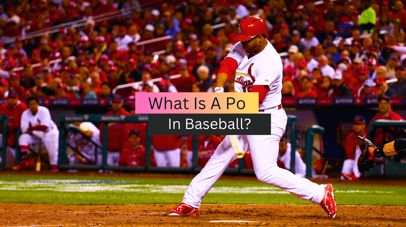 What Is A Po In Baseball? (Everything You Need To Know)