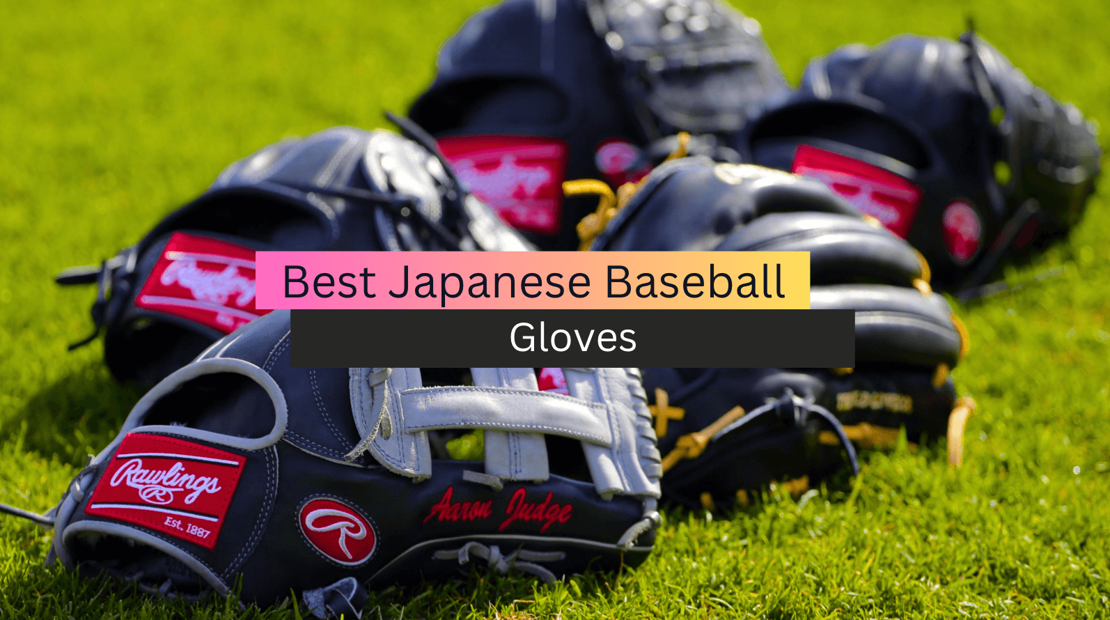 Top 5 Best Japanese Baseball Gloves (2023 Reviews & Guide)