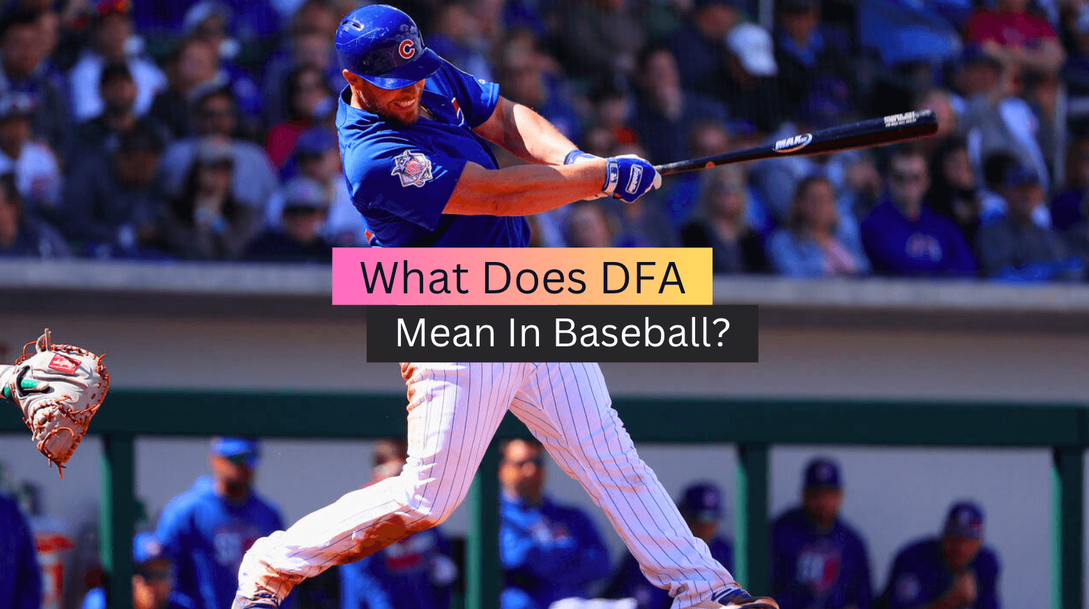 What Does DFA Mean In Baseball? (Everything You Need to Know)